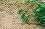 ������� ������� �� ������ �������� Nortene Wick Trellis - 