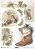 ��������� ������ ITD Collection - ����� � ���� - A4 - 