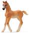 ������� �� ������� ������ - Schleich - �� ������� Horse Club - ������