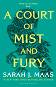 A Court of Thorns and Roses - book 2: A Court of Mist and Fury - Sara J. Maas - 