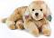 ��� ������� ���� ������ �������� - Rappa - � ������� 32 cm - �������