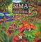 Sima, the tortoise -   -  