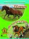 Macmillan Children's Readers: Horses. Mr Carter's Plan - level 6 BrE - Kerry Powell -  