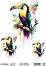 ���������� ��������� CADENCE - ����� - 25 x 35 cm �� ������� Birdsong - 