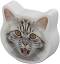 ���� �� ����� Erich Krause - �� ������� Big City Cats - 