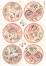 ��������� ������ Stamperia - A4 �� ���������� Shabby Rose - 