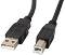  USB-A male  USB-B male Lanberg - 1.8 ÷ 5 m - 