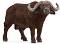 ������� �� ����� ����� Schleich - �� ������� Wild Life - ������