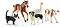      - Schleich -   Farm World - 