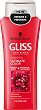 Gliss Color Perfector Shampoo - 