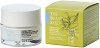 Bioearth The Beauty Seed Active Moisturizer - 