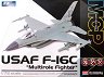   - USAF F-16C Multirole Fighter - 