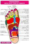 Мини табло: Рефлексология - масаж върху точки на стъпалата - 