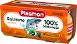      Plasmon - 