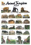     : Animal Kingdom. Mammals - 