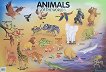 Animals of the World 1 -      - 77 x 52 cm - 