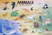 Animals of the World 2:      - 