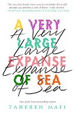 A Very Large Expanse of Sea - Tahereh Mafi - 