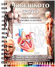 Човешкото тяло - книга за оцветяване и проверка на знанията - 