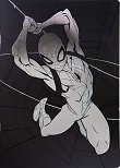   Spider-man :  A5    - 60    Disney 100 - 
