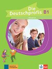 Die Deutschprofis - ниво B1: Учебна тетрадка по немски език - учебна тетрадка