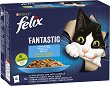    Felix Fantastic - 