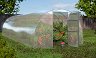 Оранжерия Primaterra Standart Box - С широчина 3 m и височина 2.15 m - 