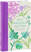 Why Friendship Matters - Michele Mendelssohn - 