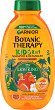 Garnier Botanic Therapy Kids 2 in 1 Shampoo & Detangler Lion King - комикс