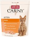     Carny Kitten - 