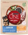     Purina One Junior - 