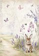   Stamperia -  - A4   Lavender - 