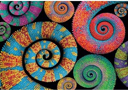 Цветен взрив с къдрави опашки - Пъзел от 500 части - пъзел