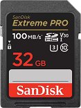 SDHC   32 GB SanDisk