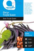    - Purple Queen