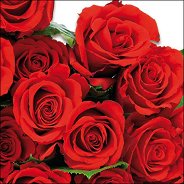 Салфетки за декупаж Ambiente - Червени рози