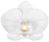 Ароматизирана орхидея от гипс Реком - 