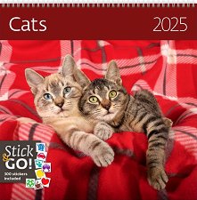   - Cats 2025 - 