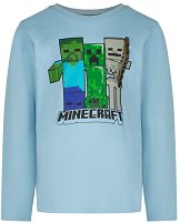   Minecraft Skins - 